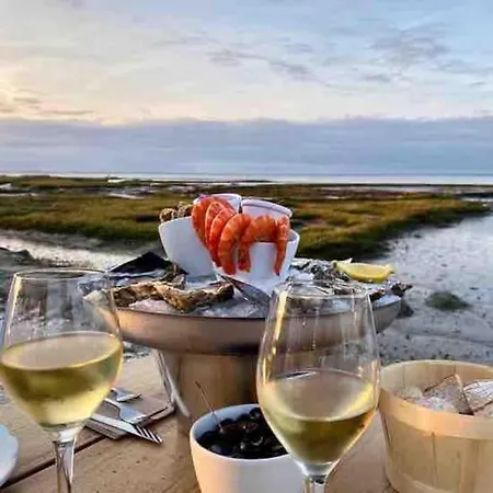 公寓 Ensoleille Port Bassin D'arcachon *