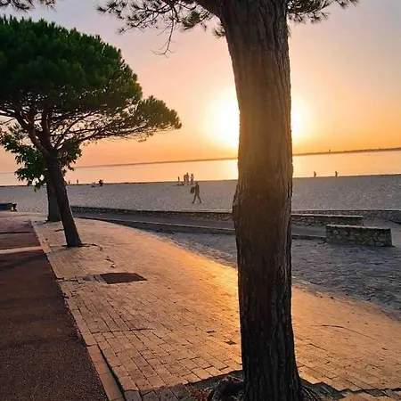Ensoleille Port Bassin D'arcachon 公寓