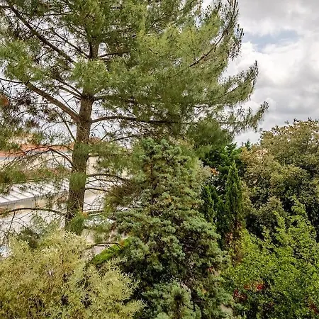 Ensoleille Port Bassin D'arcachon Arcachon