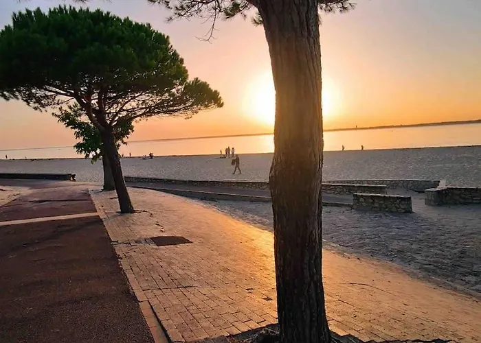 Ensoleille Port Bassin D'arcachon Apartment
