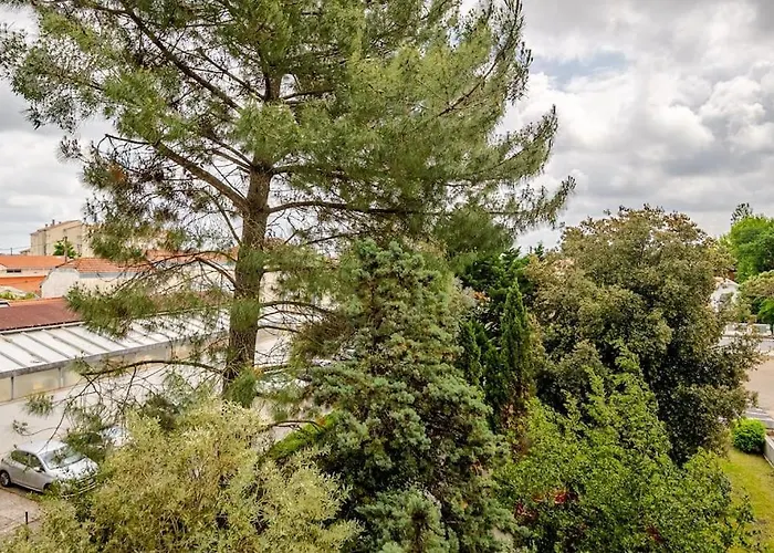 Ensoleille Port Bassin D'arcachon Arcachon